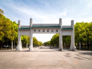 ⭐哪里卖
FB在线交易号
哪里可以买到